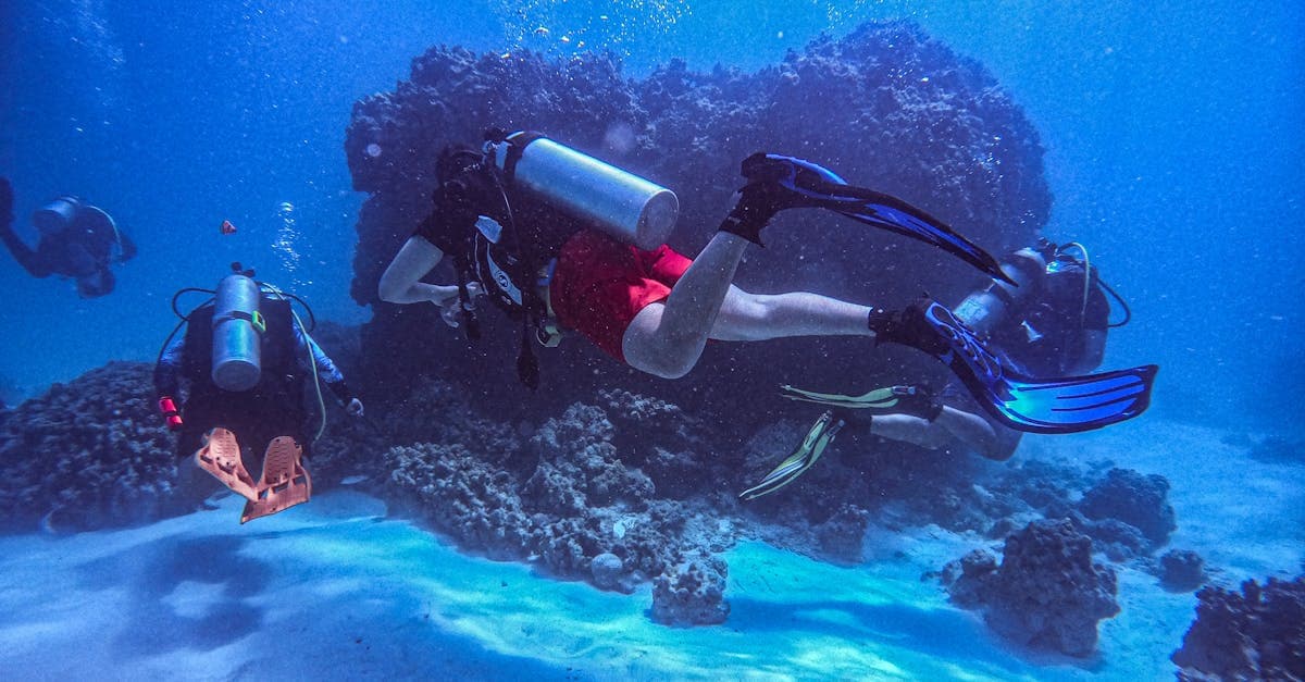 STAR DIVING ACADEMY, Antalya