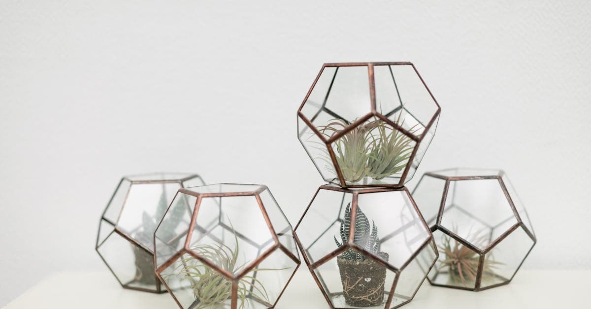 Derin Flowers