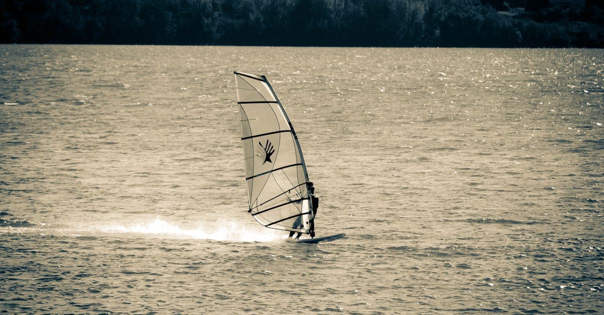 Myga Surf City