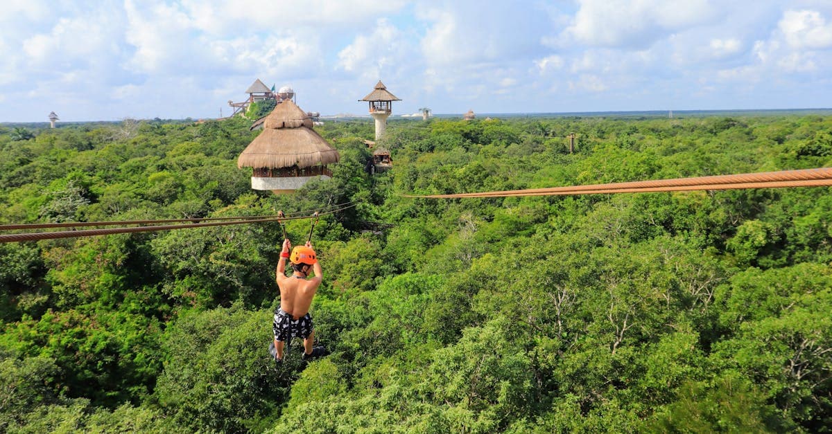 Macerapark Zipline, sağlık merkezleri, Kocaeli, Kartepe, ...